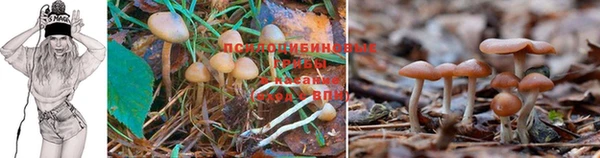 твердый Волоколамск
