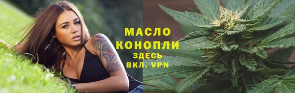 apvp Вяземский