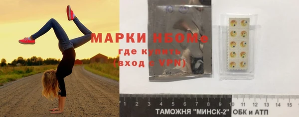 apvp Вяземский