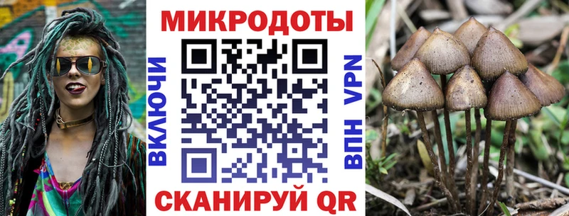 Псилоцибиновые грибы ЛСД  Пестово 